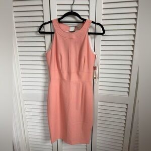 Daniel Cremieux Coral Pink Midi Sheath Dress
